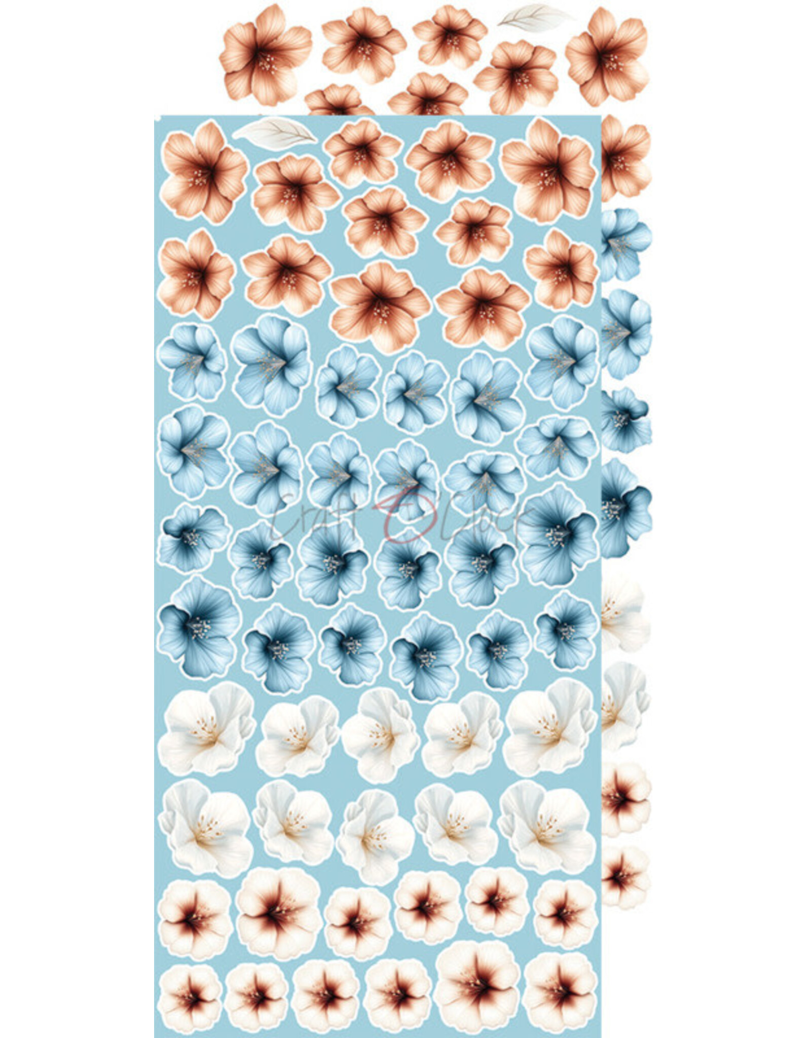 CRAFT O'CLOCK CRAFT O'CLOCK EMERALD TALES EXTRAS SET - FLOWERS 6x12 COLLECTION PACK 18 SHEETS