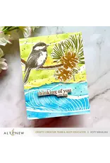 ALTENEW ALTENEW BETTERPRESS CHICKADEE CHIRPS REGISTRATION PRESS PLATES
