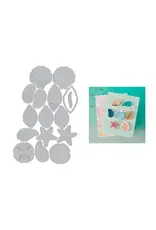 HERO ARTS HERO ARTS SUMMER BY THE SHORE COLLECTION SOPHISTICATED SHELLS ETCHED DIE SET