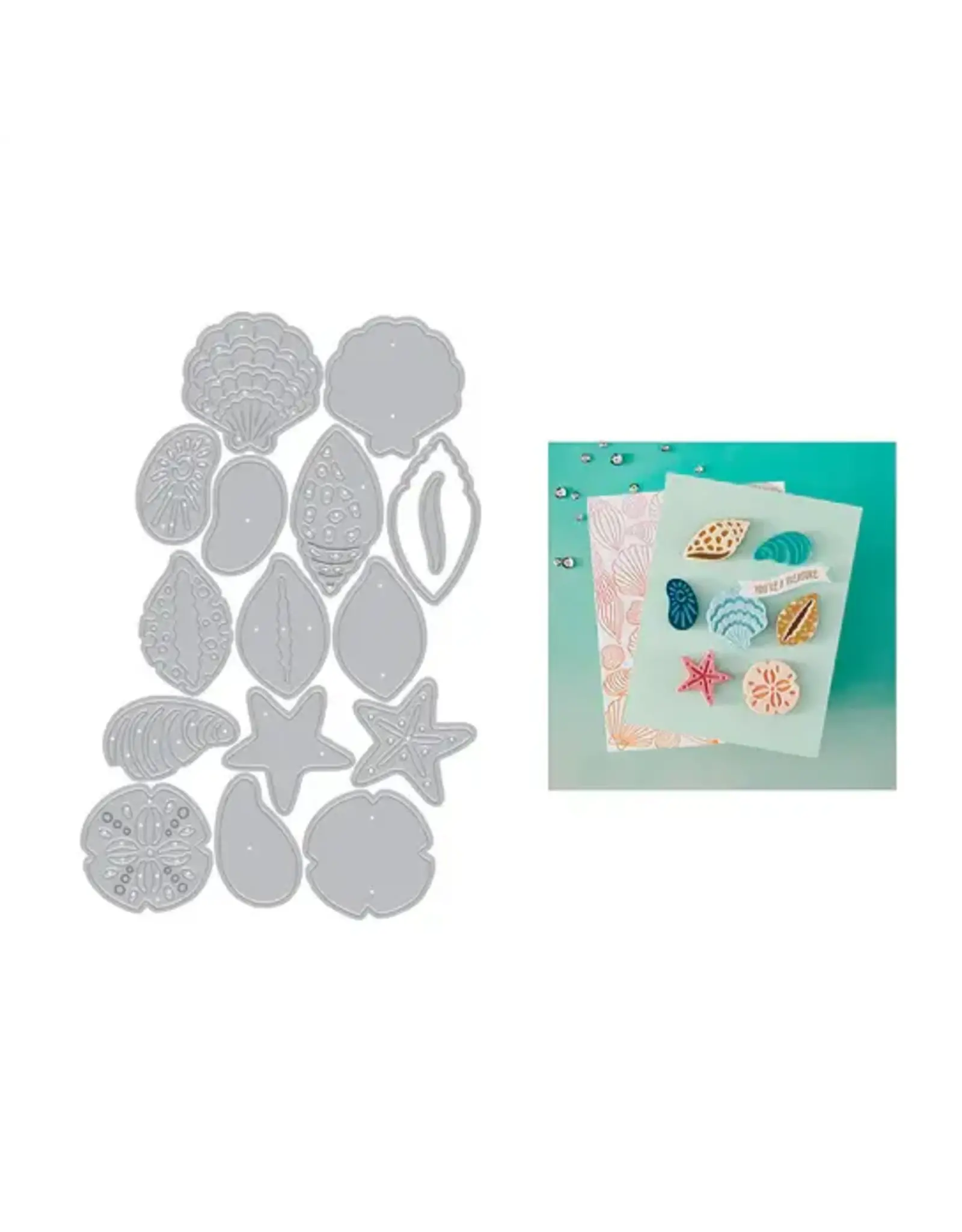 HERO ARTS HERO ARTS SUMMER BY THE SHORE COLLECTION SOPHISTICATED SHELLS ETCHED DIE SET
