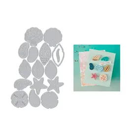 HERO ARTS HERO ARTS SUMMER BY THE SHORE COLLECTION SOPHISTICATED SHELLS ETCHED DIE SET