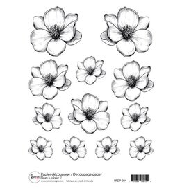 RONRON DESIGNS RONRON DESIGNS FLEURS À COLORIER 2 RICE PAPER