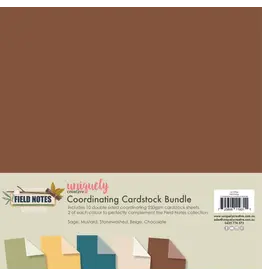 UNIQUELY CREATIVE UNIQUELY CREATIVE FIELD NOTES 12x12 CARDSTOCK BUNDLE