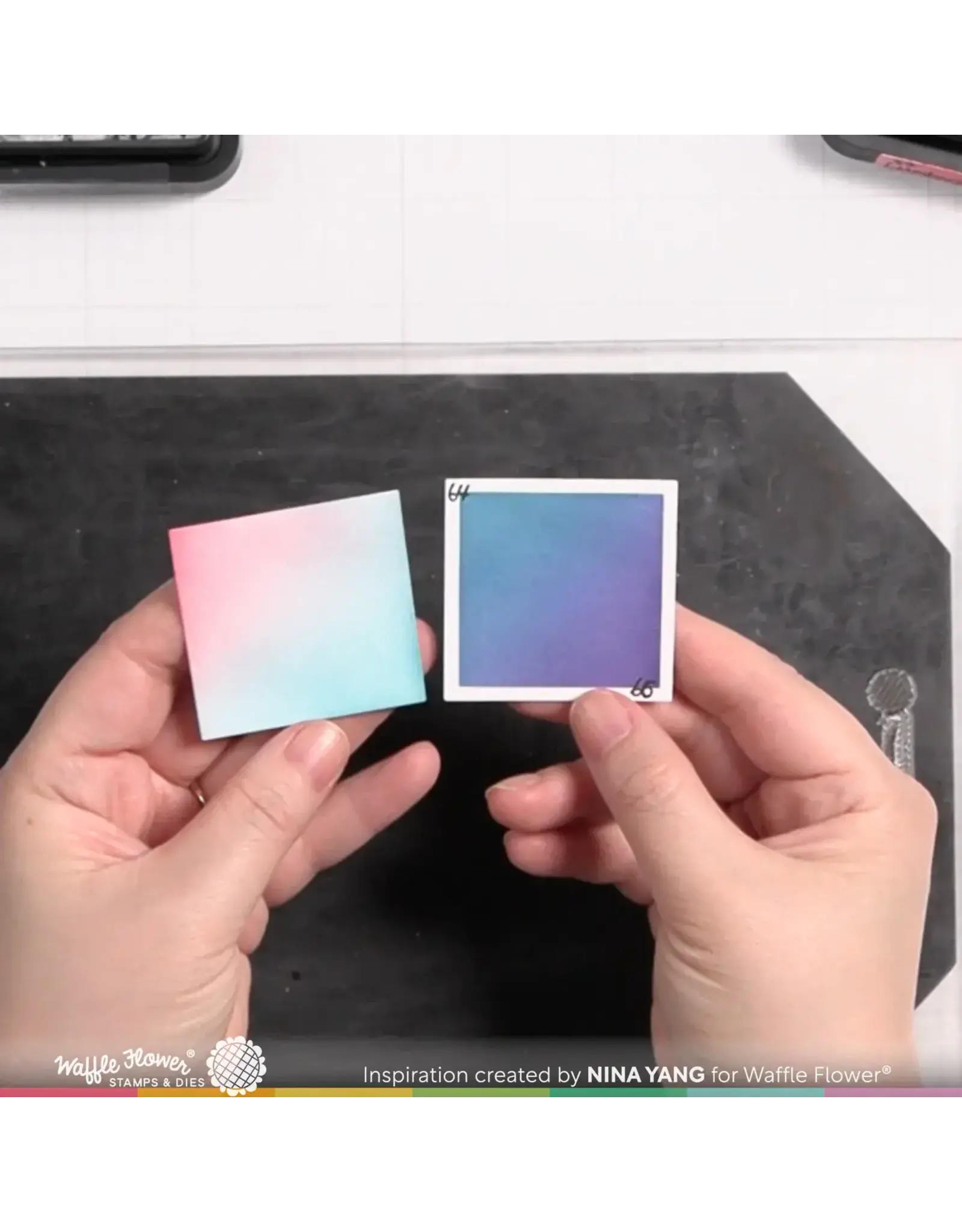 WAFFLE FLOWER WAFFLE FLOWER INK SWATCH 2x2 DIE