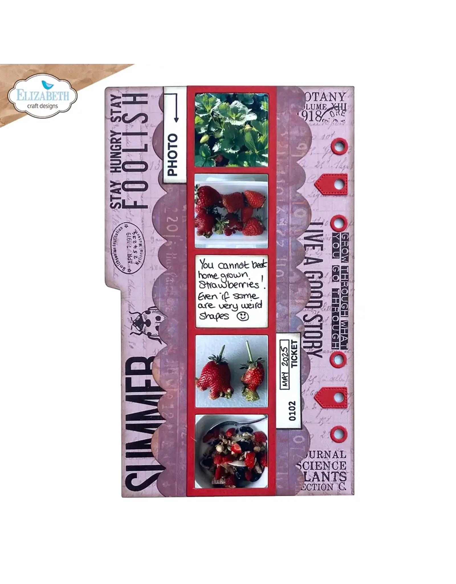 ELIZABETH CRAFT DESIGNS ELIZABETH CRAFT DESIGNS PLANNER ESSENTIALS PHOTOFRAME INLAY DIE SET