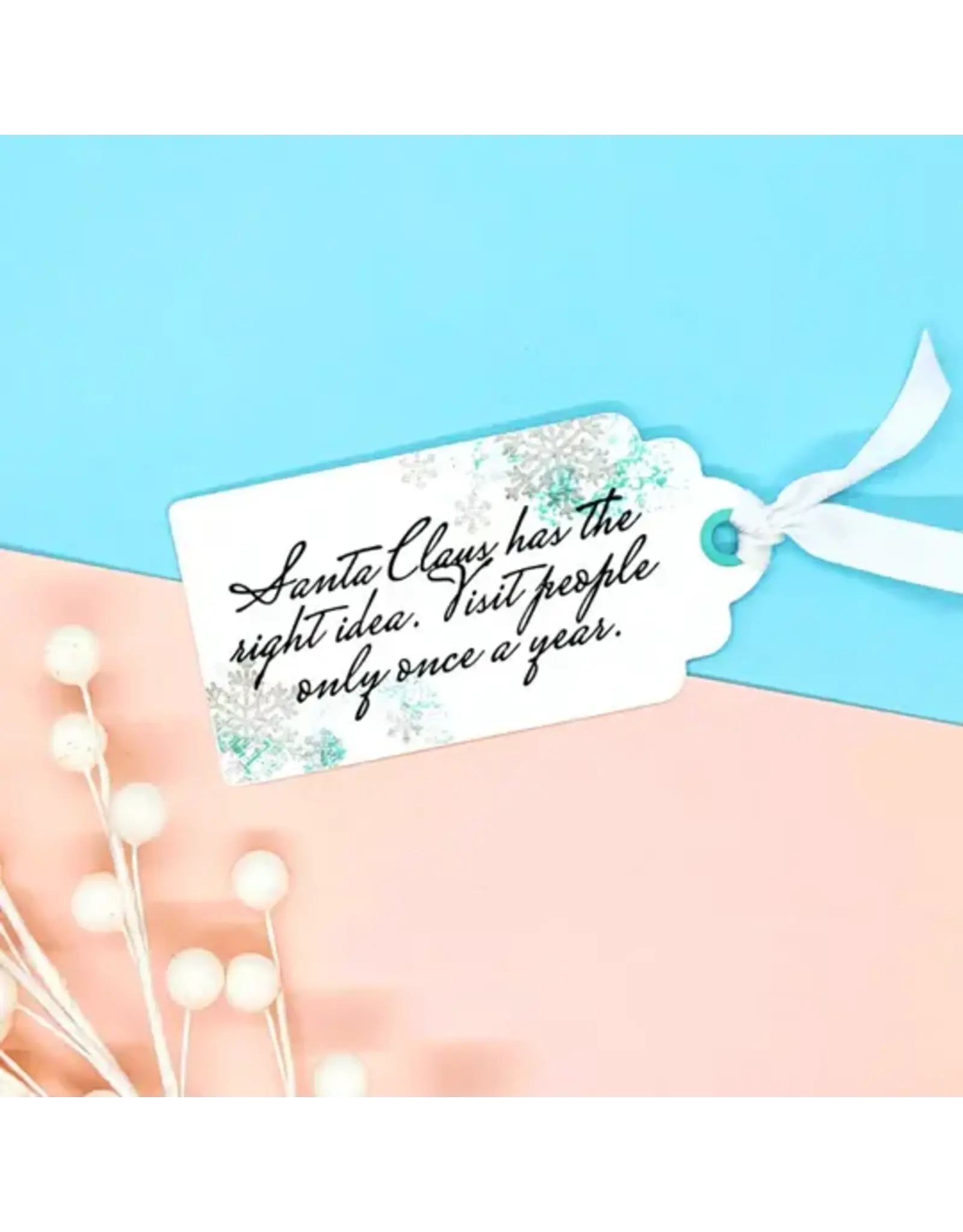 LDRS CREATIVE LDRS CREATIVE CHRISTMAS HUMOR SENTIMENTS CLEAR STAMP SET