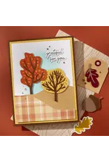 SPELLBINDERS SPELLBINDERS KELLY BANGS AUTUMN ARCHIVES COLLECTION AUTUMN ARCHIVES BUNDLE DIE SET