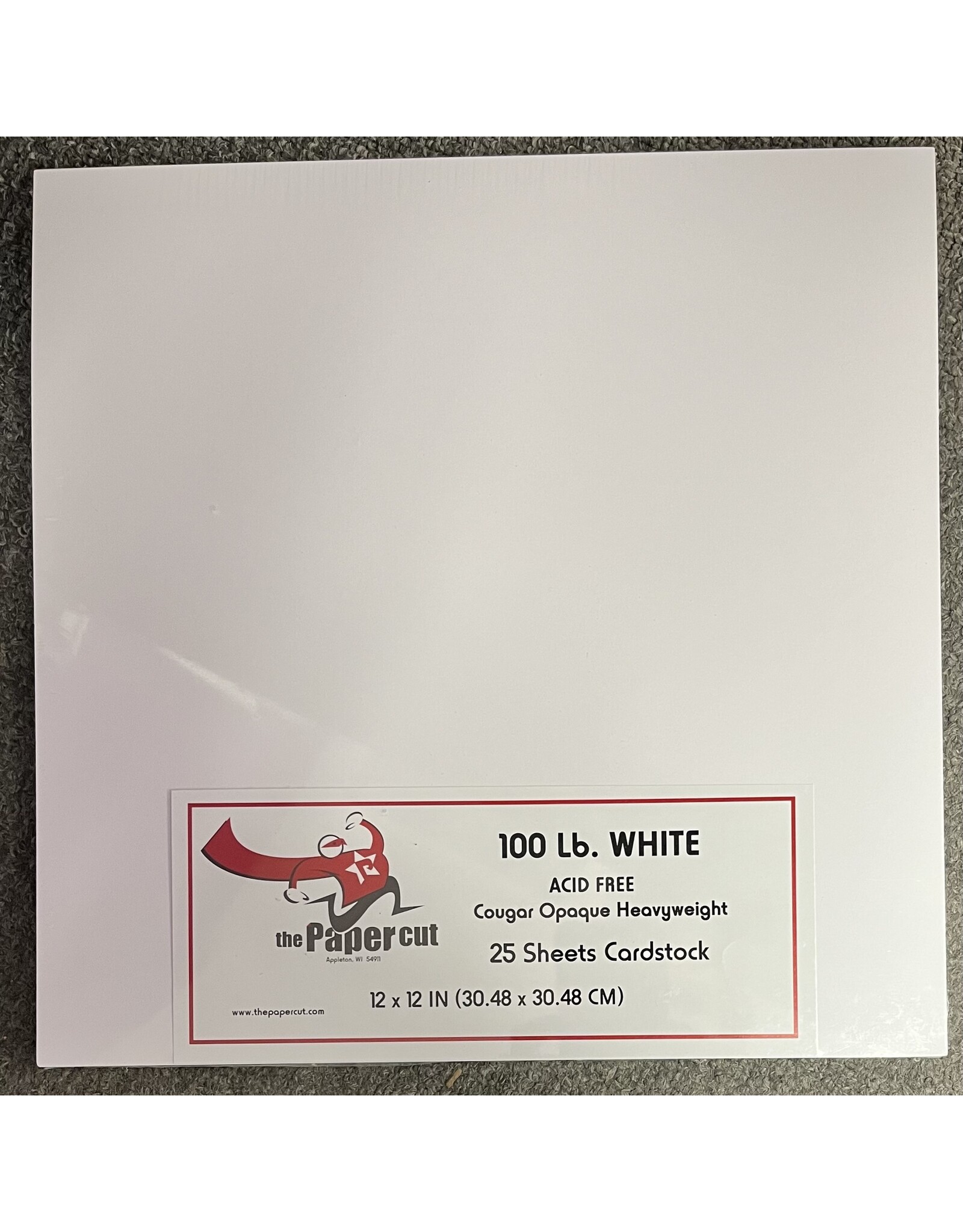 PAPER CUT THE PAPER CUT 100 LB WHITE COUGAR OPAQUE 12x12 CARDSTOCK 25 SHEETS