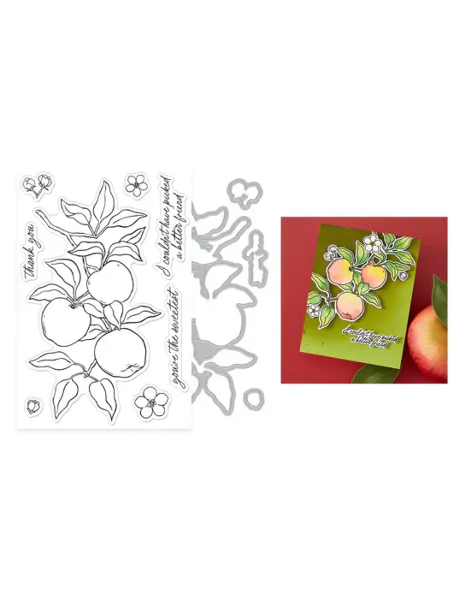 HERO ARTS SPELLBINDERS HERO ARTS I PICK YOU COLLECTION APPLE BRANCH CLEAR STAMP & DIE SET