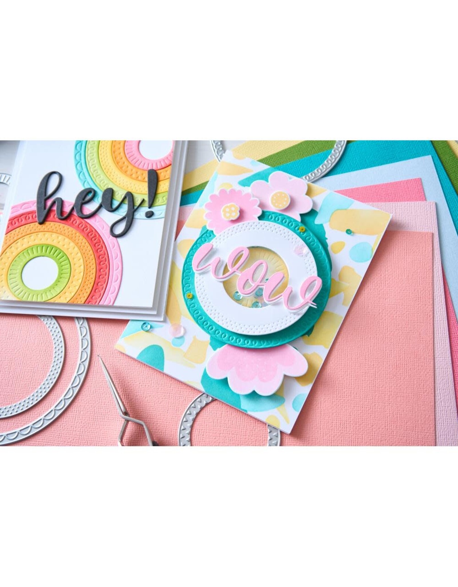 SIZZIX SIZZIX CATHERINE POOLER DESIGNS BORDER PARTY CIRCLES FRAMELITS DIE SET