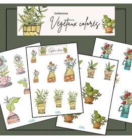 RONRON DESIGNS RONRON DESIGNS MARIKA LEMAY: VÉGÉTAUX COLORÉS EPHEMERA
