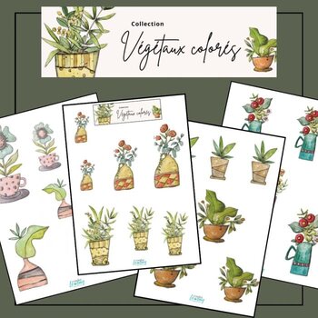 RONRON DESIGNS RONRON DESIGNS MARIKA LEMAY: VÉGÉTAUX COLORÉS EPHEMERA