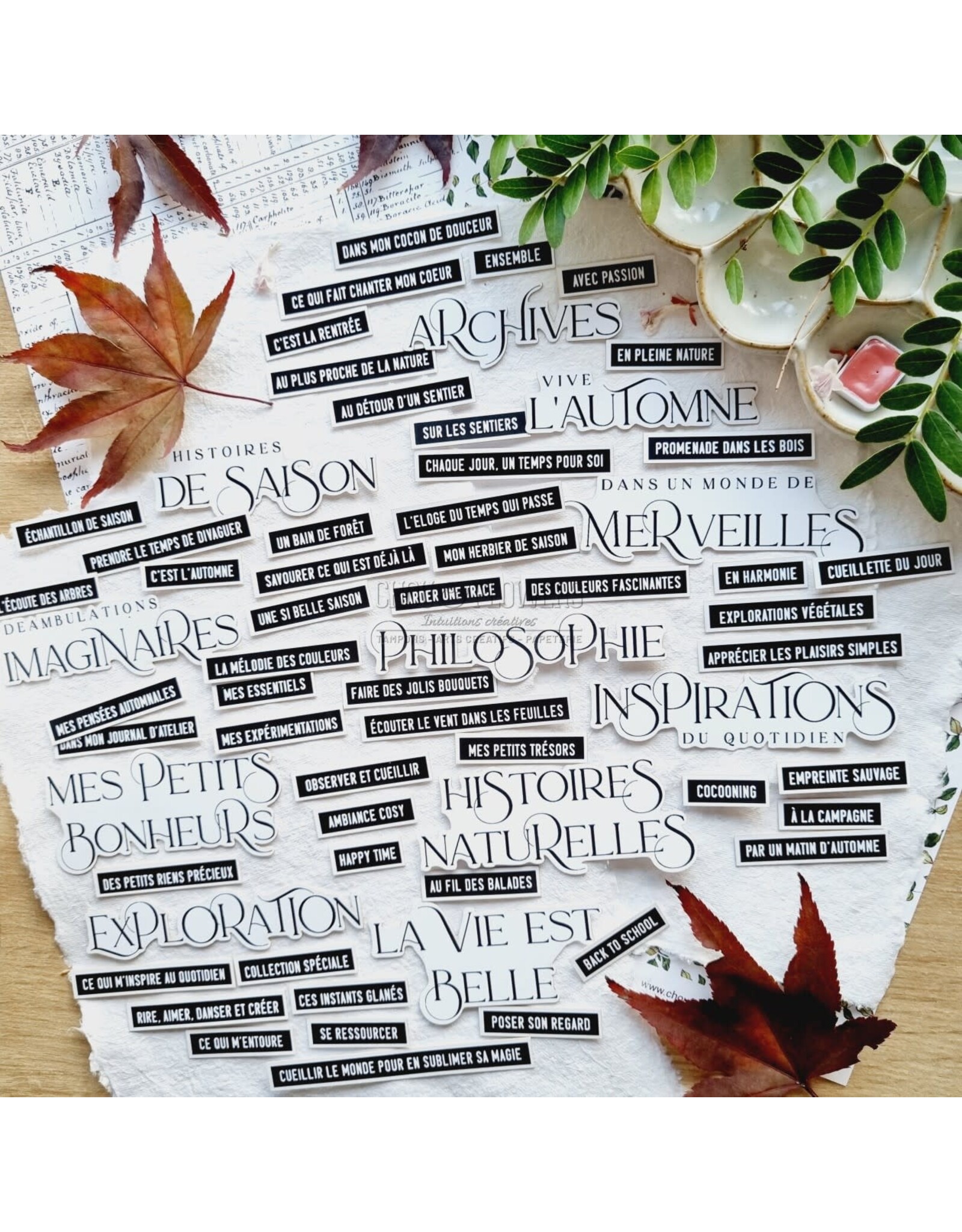 CHOU & FLOWERS CHOU & FLOWERS COLLECTION L'ORÉE DES BOIS MOTS D'AUTOMNE DIE-CUTS