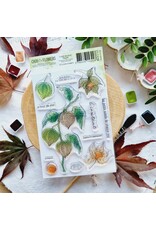 CHOU & FLOWERS CHOU & FLOWERS COLLECTION L'ORÉE DES BOIS PHYSALIS A6 CLEAR STAMP SET