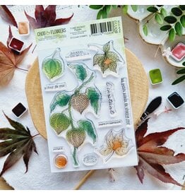 CHOU & FLOWERS CHOU & FLOWERS COLLECTION L'ORÉE DES BOIS PHYSALIS A6 CLEAR STAMP SET