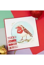 HUNKYDORY CRAFTS LTD. HUNKYDORY FOR THE LOVE OF STAMPS RED ROBIN LAYERING CLEAR STAMP SET HUNKYDORY CRAFTS LTD. HUNKYDORY FOR THE LOVE OF STAMPS RED ROBIN LAYERING CLEAR STAMP SET