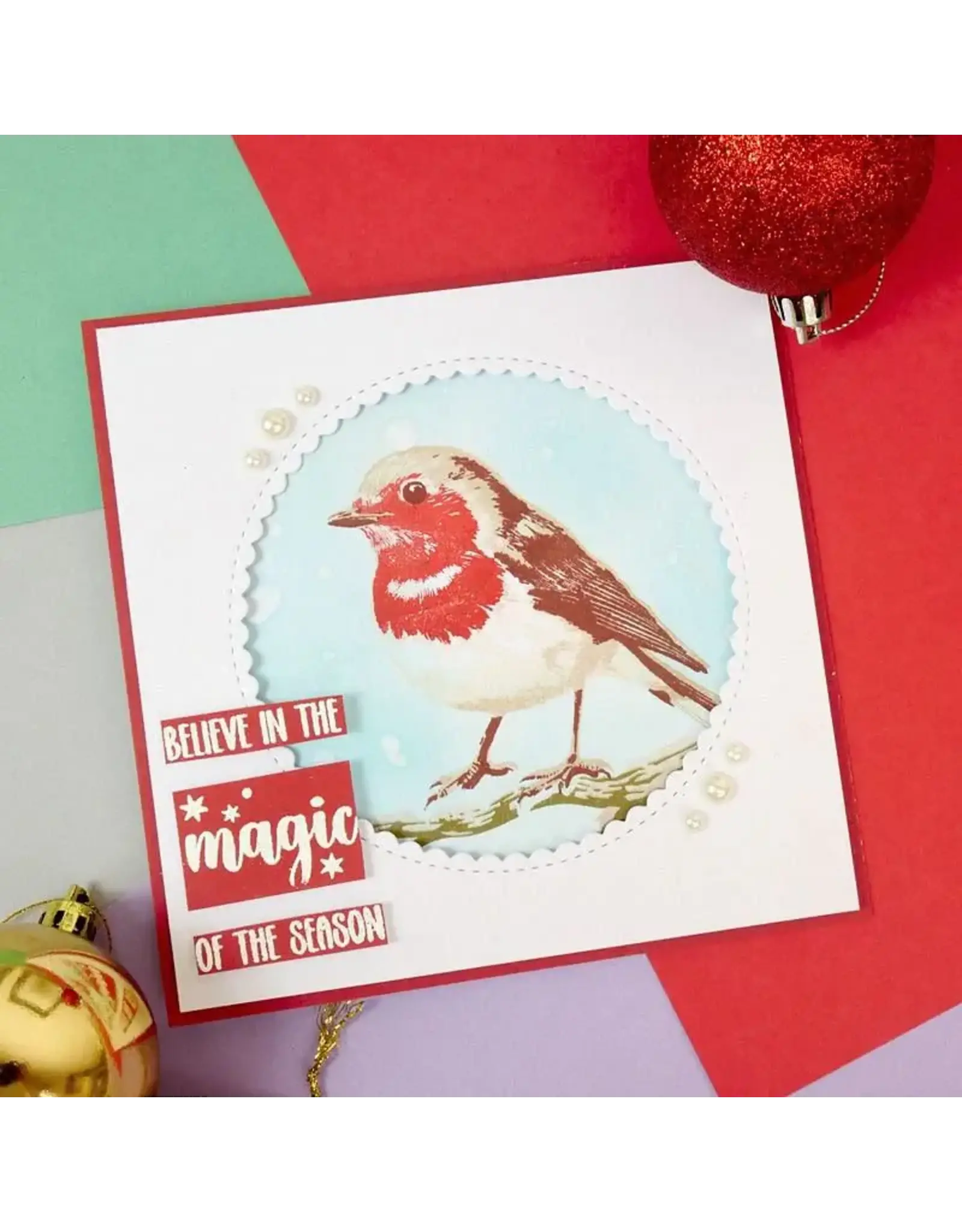 HUNKYDORY CRAFTS LTD. HUNKYDORY FOR THE LOVE OF STAMPS RED ROBIN LAYERING CLEAR STAMP SET