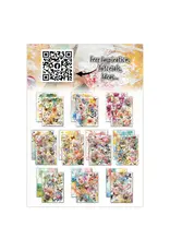 AALL & CREATE AALL & CREATE AUTOUR DE MWA & CO #41 COLOUR ME FLORAL A5 DOUBLE-SIDED DESIGN PAPERS 10/PK