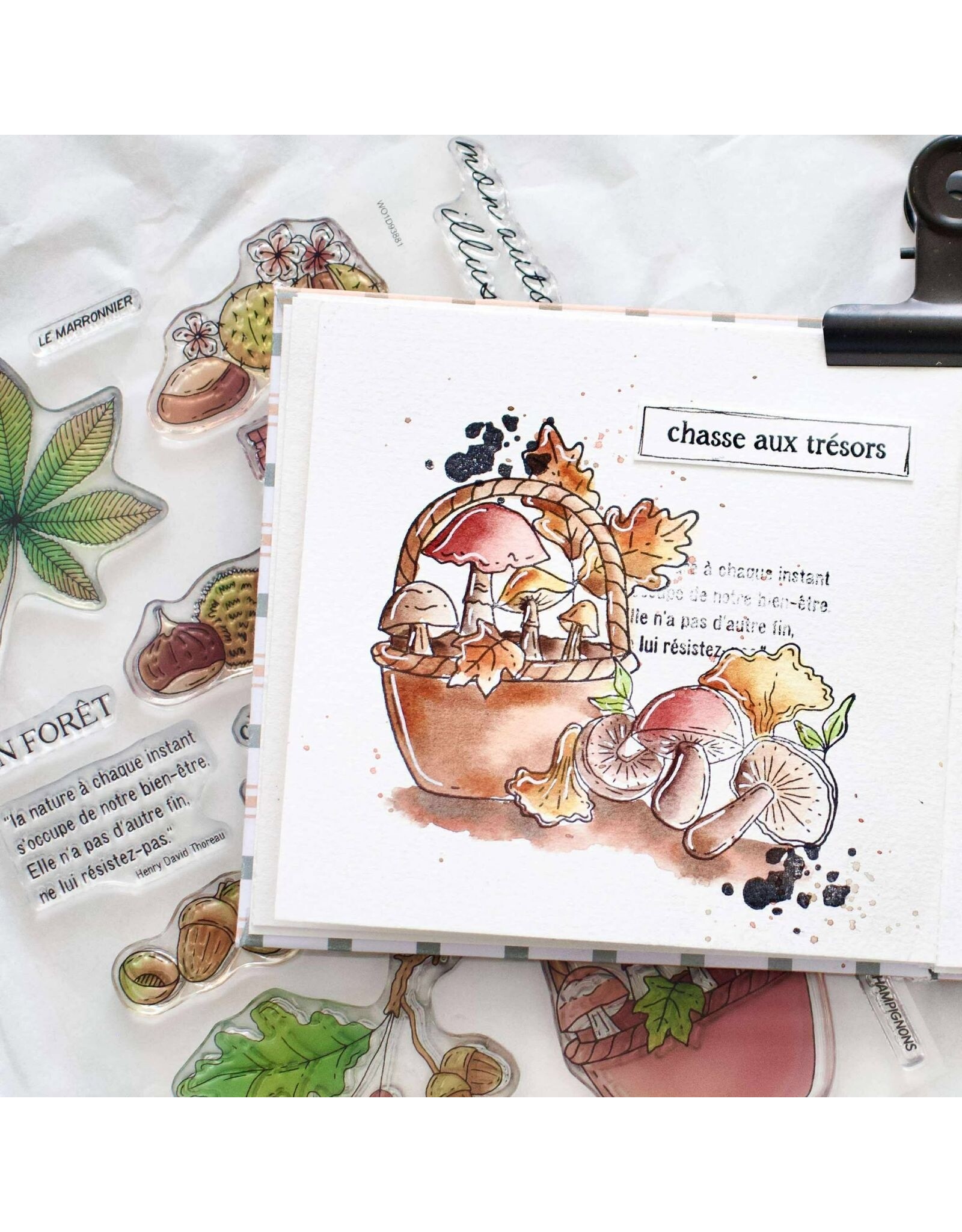 CHOU & FLOWERS CHOU & FLOWERS COLLECTION L'ORÉE DES BOIS AMBIANCE SOUS-BOIS A5 CLEAR STAMP SET