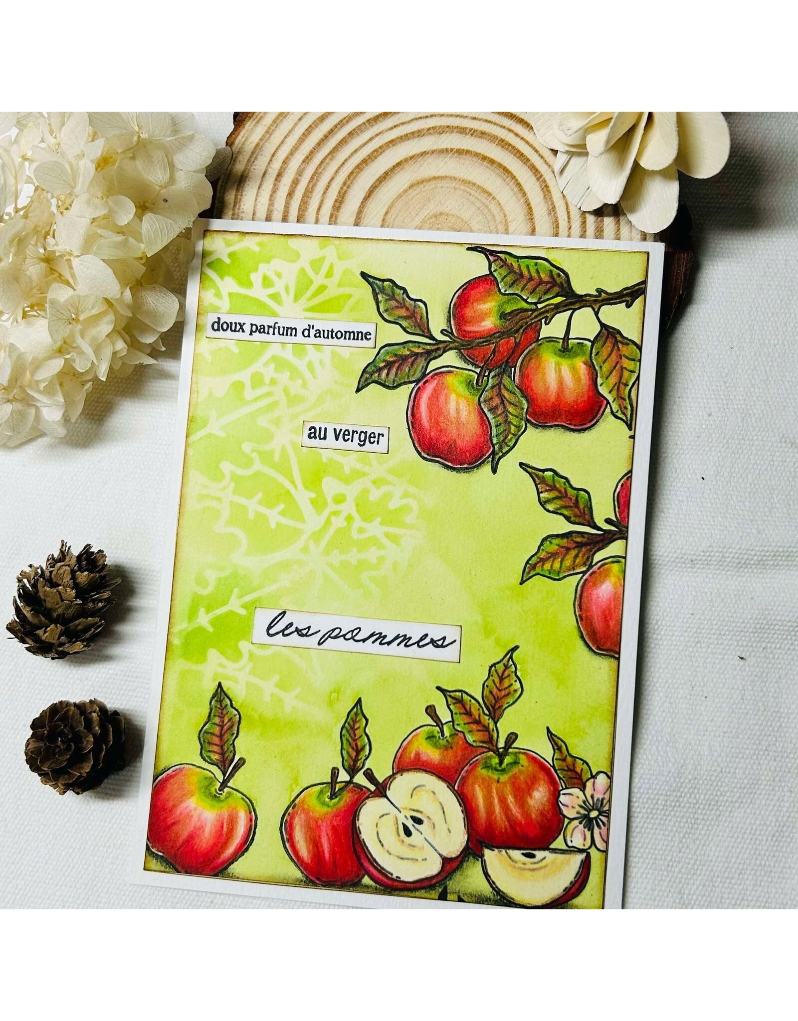 CHOU & FLOWERS CHOU & FLOWERS COLLECTION L'ORÉE DES BOIS LES POMMES DL CLEAR STAMP SET