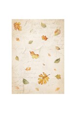 STAMPERIA STAMPERIA WHISPERING WOODS ASSORTED A6 RICE PAPER DECOUPAGE BACKGROUNDS 10.5X14.8CM 8/PK