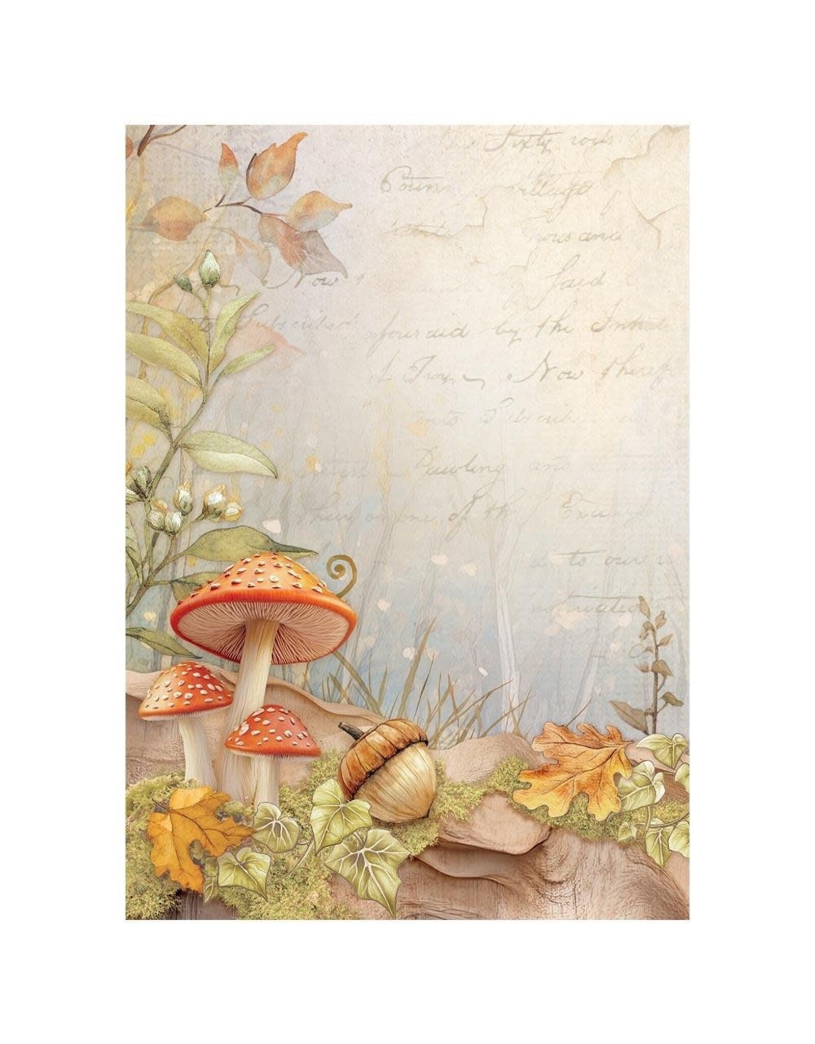 STAMPERIA STAMPERIA WHISPERING WOODS ASSORTED A6 RICE PAPER DECOUPAGE BACKGROUNDS 10.5X14.8CM 8/PK