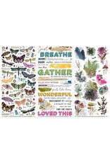 49 AND MARKET 49 AND MARKET CURIOSITIES IN WILLOW GROVE ESSENTIAL 6x12 RUB-ON TRANSFER SET 3/PK