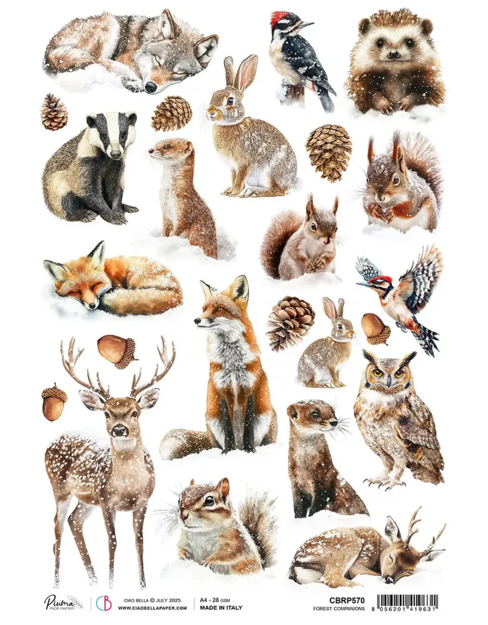 CIAO BELLA CIAO BELLA FOREST COMPANIONS A4 RICE PAPER