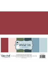 ECHO PARK PAPER ECHO PARK WINTER FUN 12x12 SOLIDS PAPER PACK