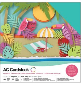 AMERICAN CRAFTS AMERICAN CRAFT AC CARDSTOCKS TROPICAL 12X12 60PK