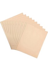PIONEER PIONEER POST BOUND BUFF PAGES PAGE REFILLS 10/PK