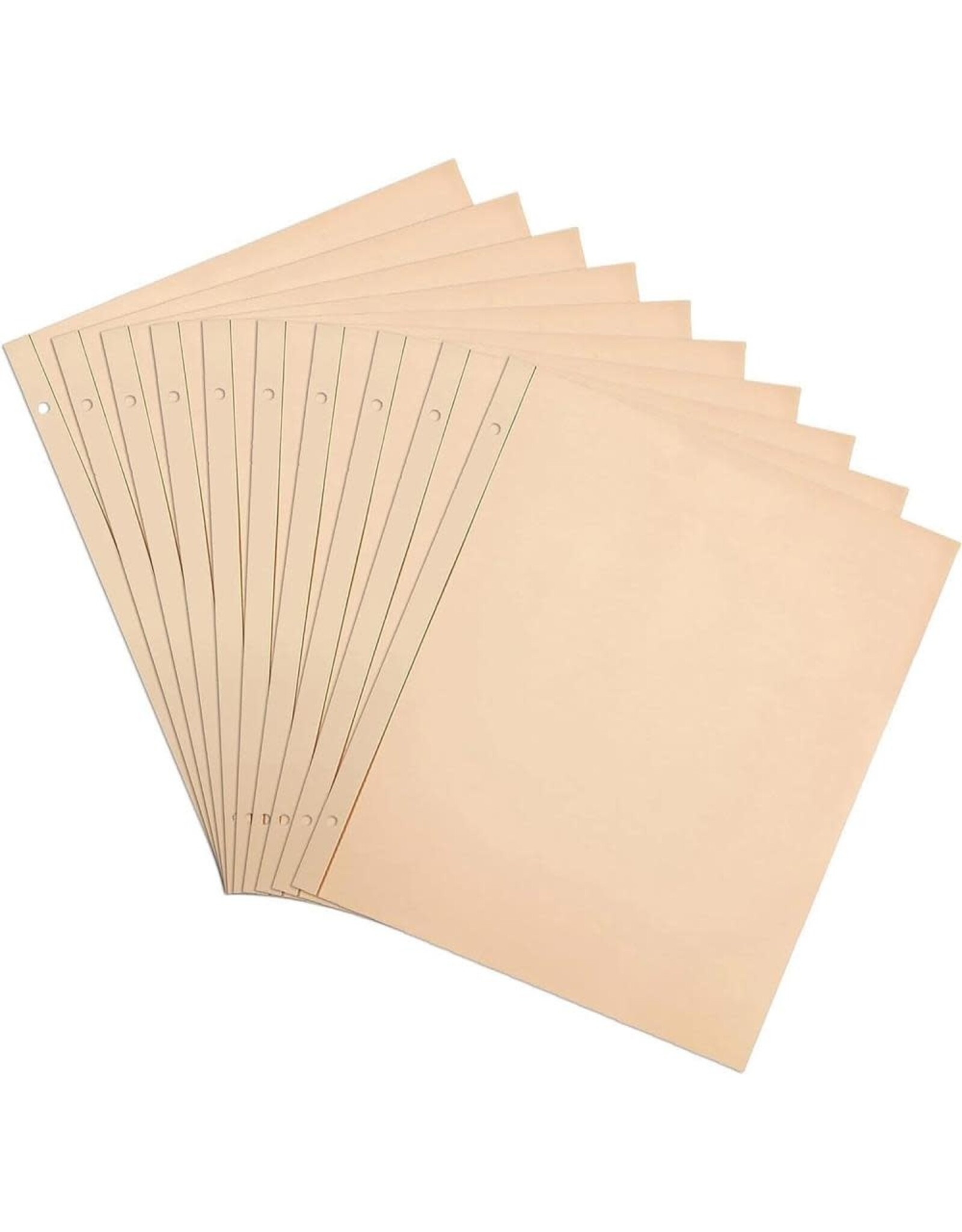 PIONEER PIONEER POST BOUND BUFF PAGES PAGE REFILLS 10/PK