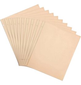 PIONEER PIONEER POST BOUND BUFF PAGES PAGE REFILLS 10/PK