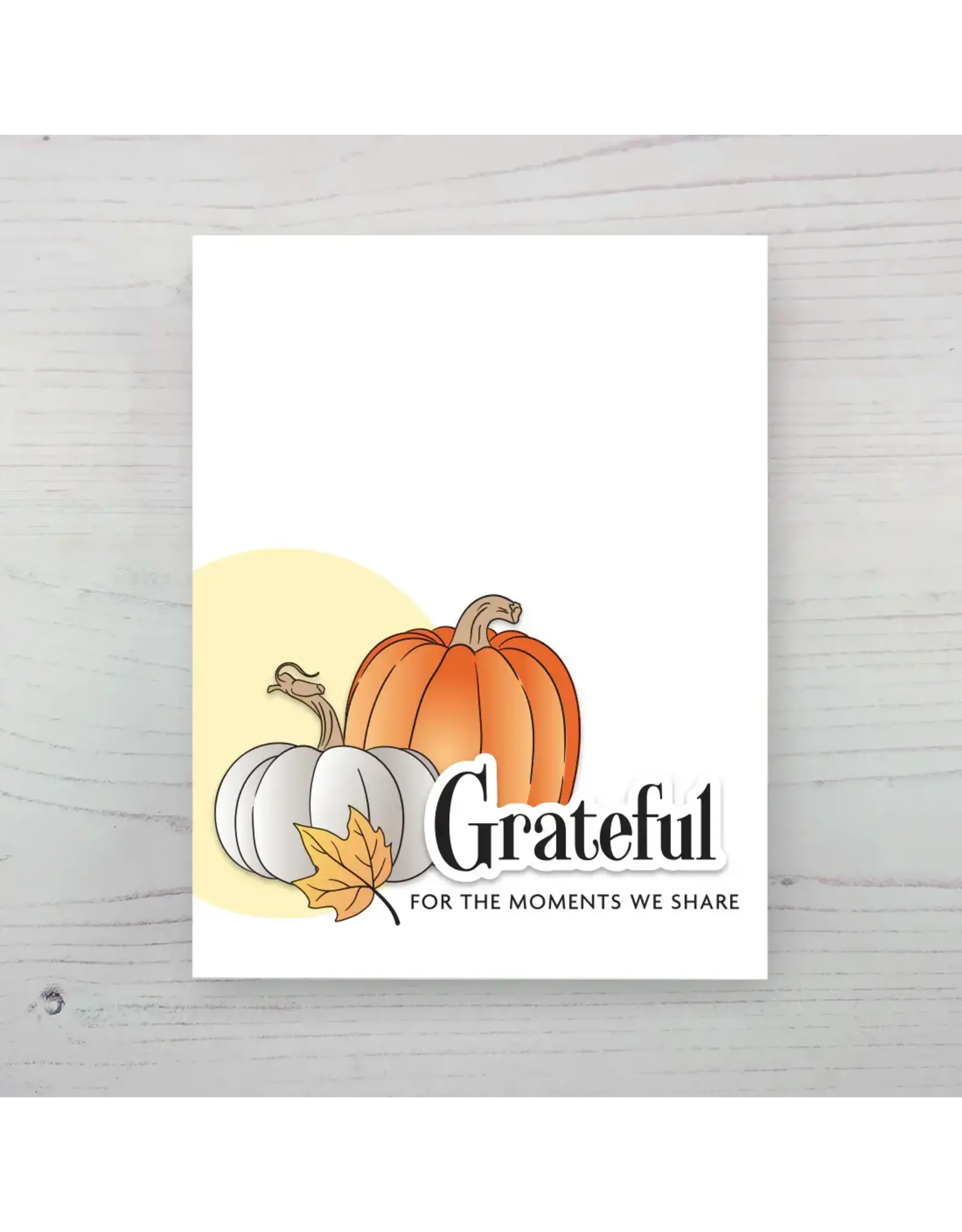 ALTENEW ALTENEW ONE-GO: SWEET PUMPKINS 3D EMBOSSING FOLDER