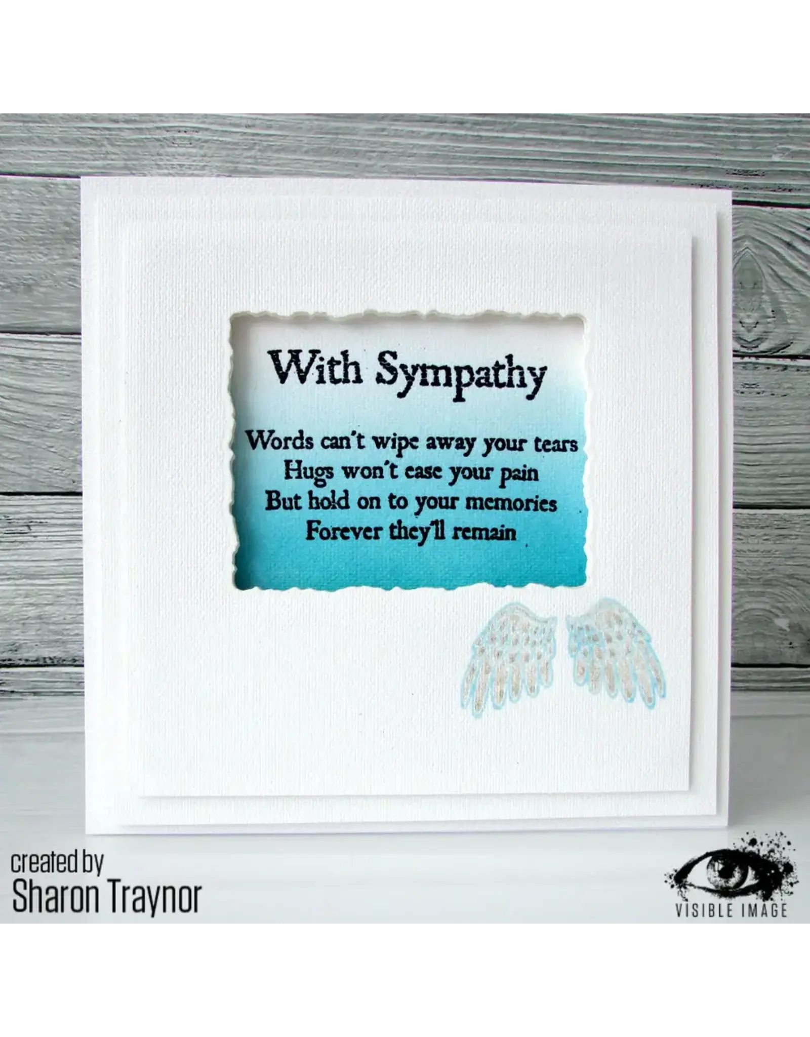 VISIBLE IMAGE VISIBLE IMAGE WITH SYMPATHY A7 CLEAR STAMP SET