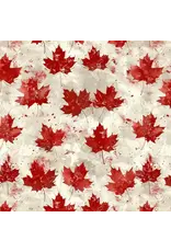 SIMPLY STATED SIMPLY STATED TRUE NORTH 3 12x12 CARDSTOCK