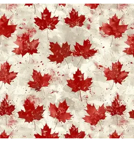 SIMPLY STATED SIMPLY STATED TRUE NORTH 3 12x12 CARDSTOCK