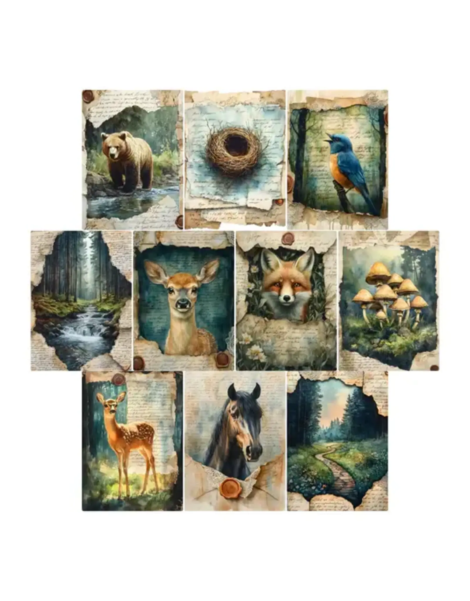 SIMPLY STATED SIMPLY STATED WILDLIFE JOURNAL 3.5x5 PROJECT BASE