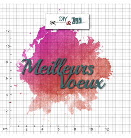 DIY & CIE DIY & CIE DIE MEILLEURS VOEUX