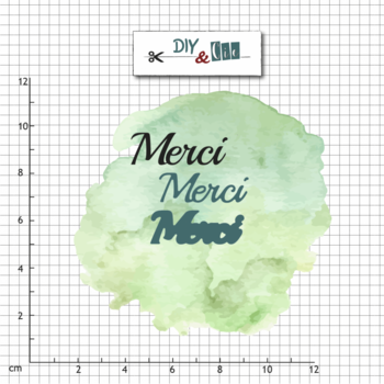 DIY & CIE DIY & CIE DUO MERCI DIE SET