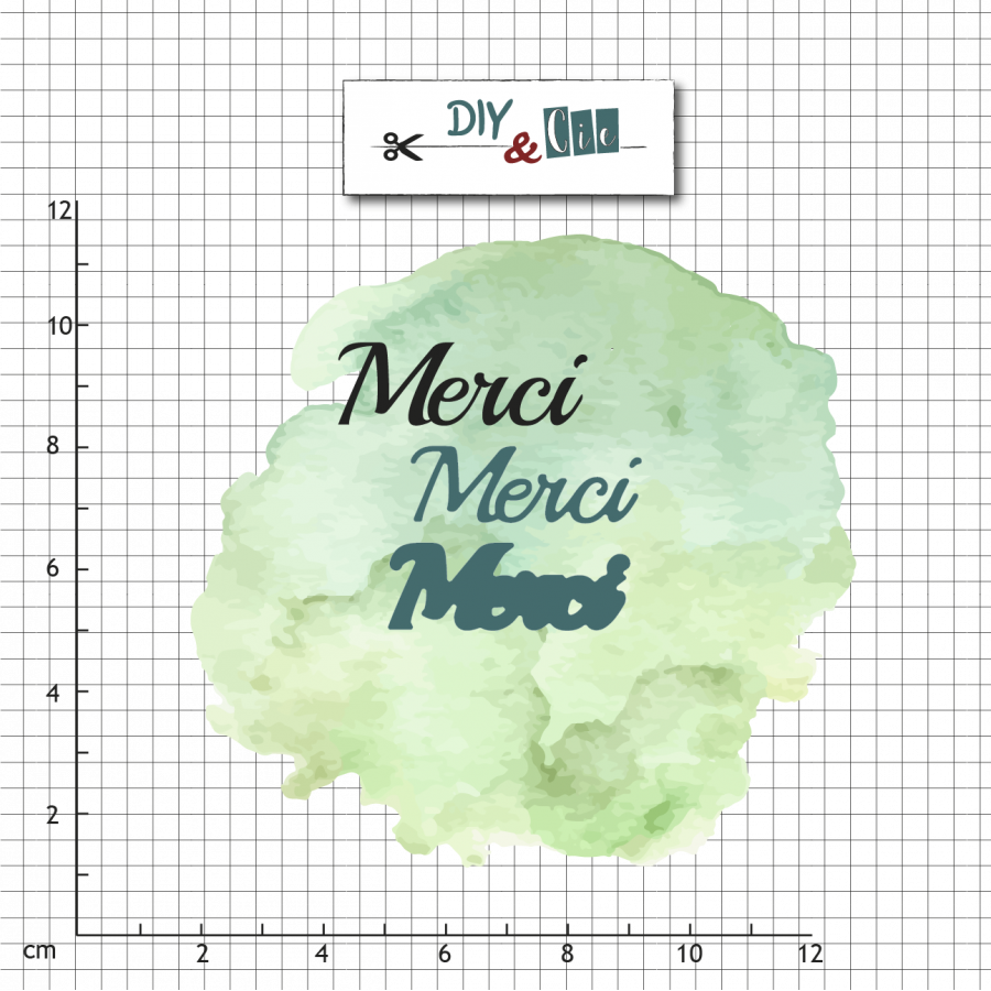 DIY & CIE DIY & CIE DUO MERCI DIE SET