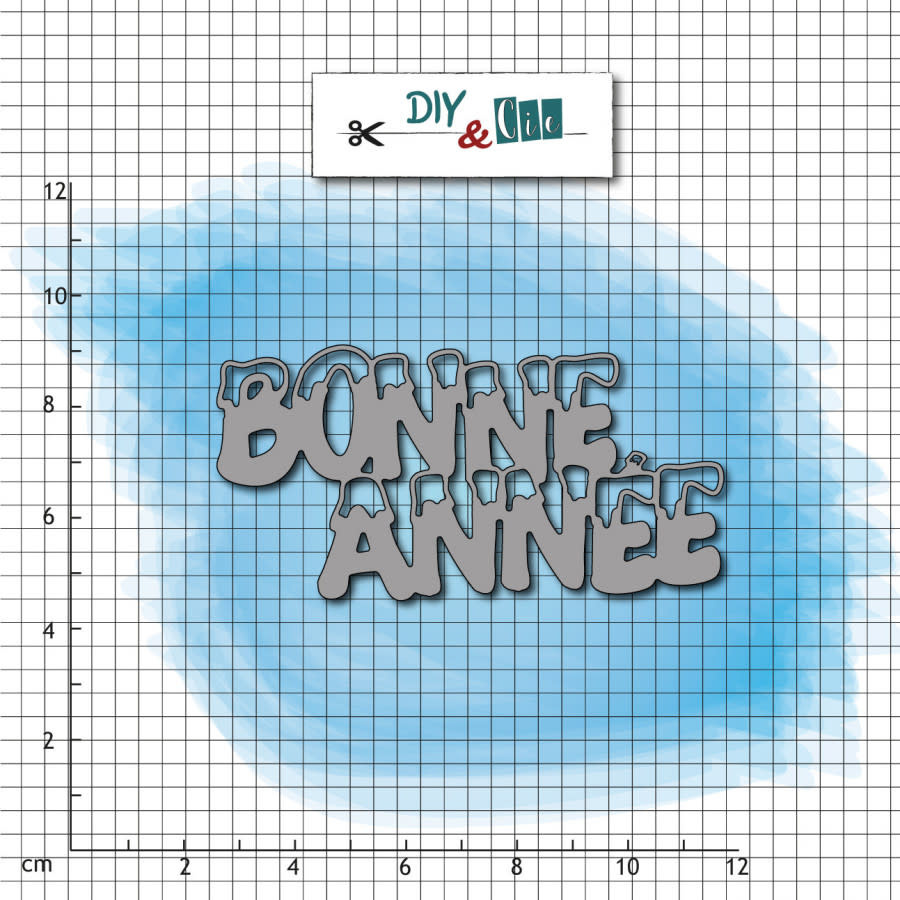 DIY & CIE DIY & CIE BONNE ANNÉE DIE