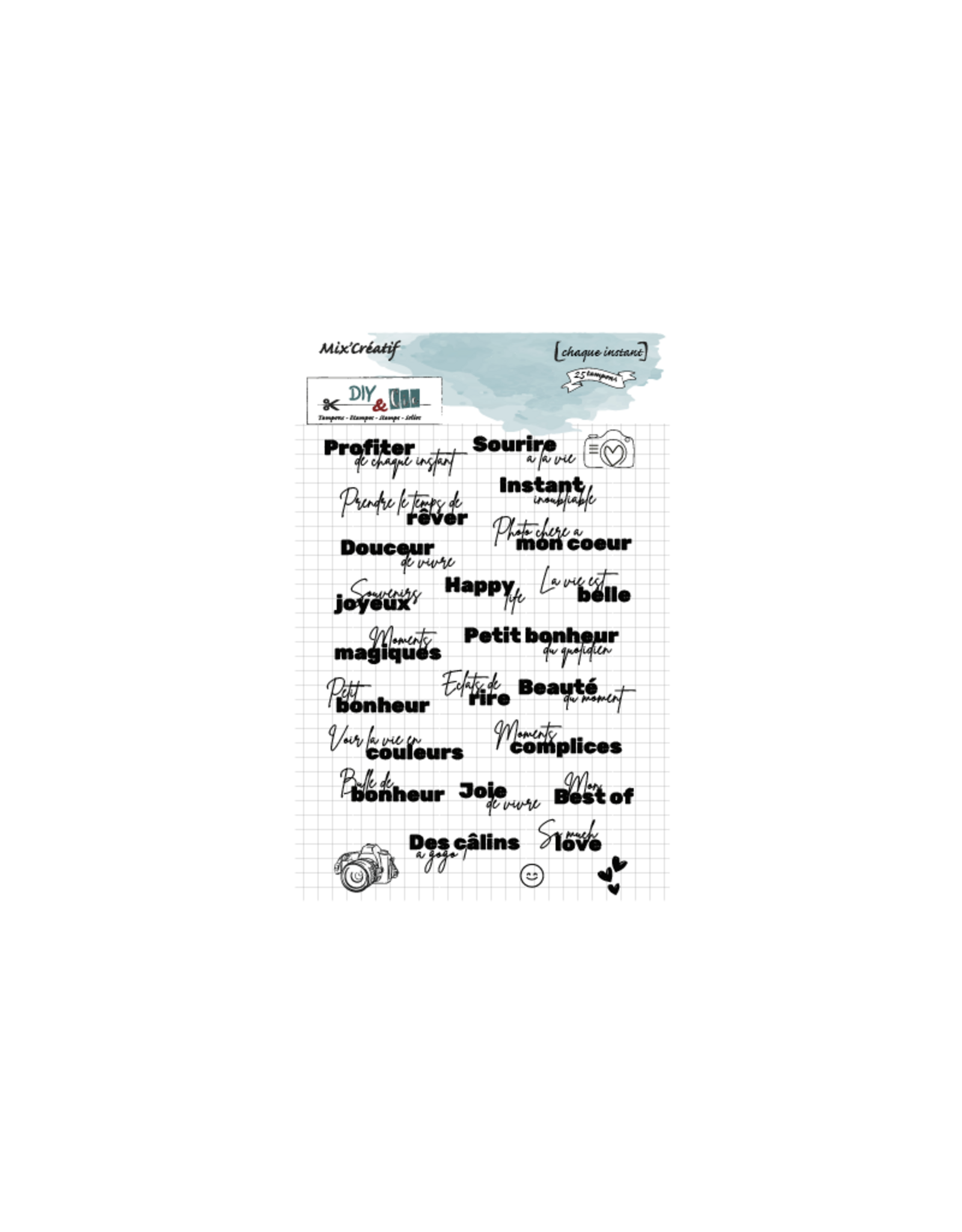 DIY & CIE DIY & CIE CHAQUE INSTANT CLEAR STAMP SET