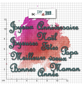 DIY & CIE DIY & CIE CARTERIE DIE SET