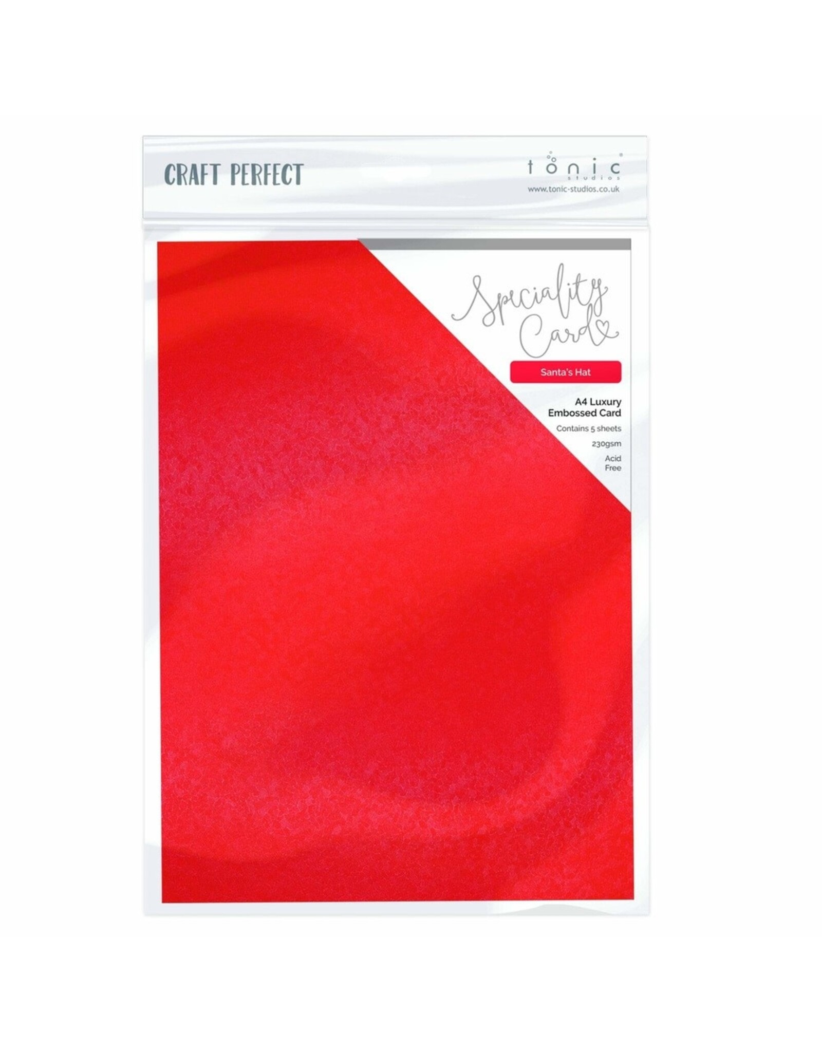 TONIC TONIC STUDIOS SPECIALITY CARD LUXURY EMBOSSED CARD SANTA'S HAT A4 5PK