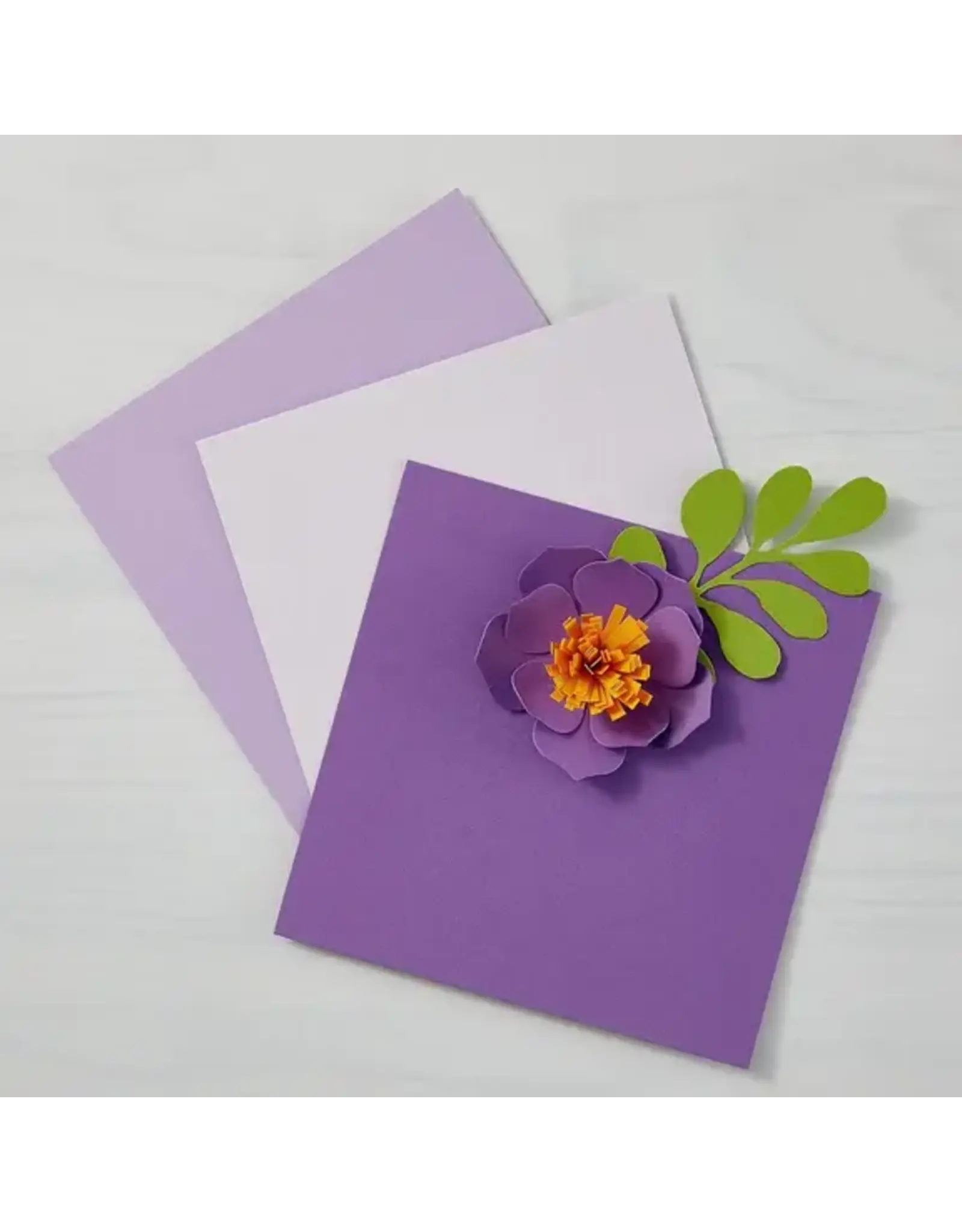 SPELLBINDERS SPELLBINDERS LAVENDER COLORWHEEL CARDSTOCK 12x12 10/PK