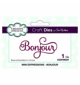 CREATIVE EXPRESSIONS CREATIVE EXPRESSIONS MINI EXPRESSIONS DIE BONJOUR