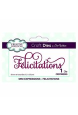 CREATIVE EXPRESSIONS CREATIVE EXPRESSIONS SUE WILSON FELICITATIONS DIE