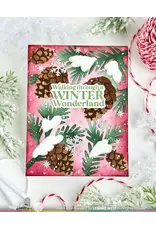 WAFFLE FLOWER WAFFLE FLOWER SNOWCAPPED PINECONE DETAILS CLEAR STAMP SET