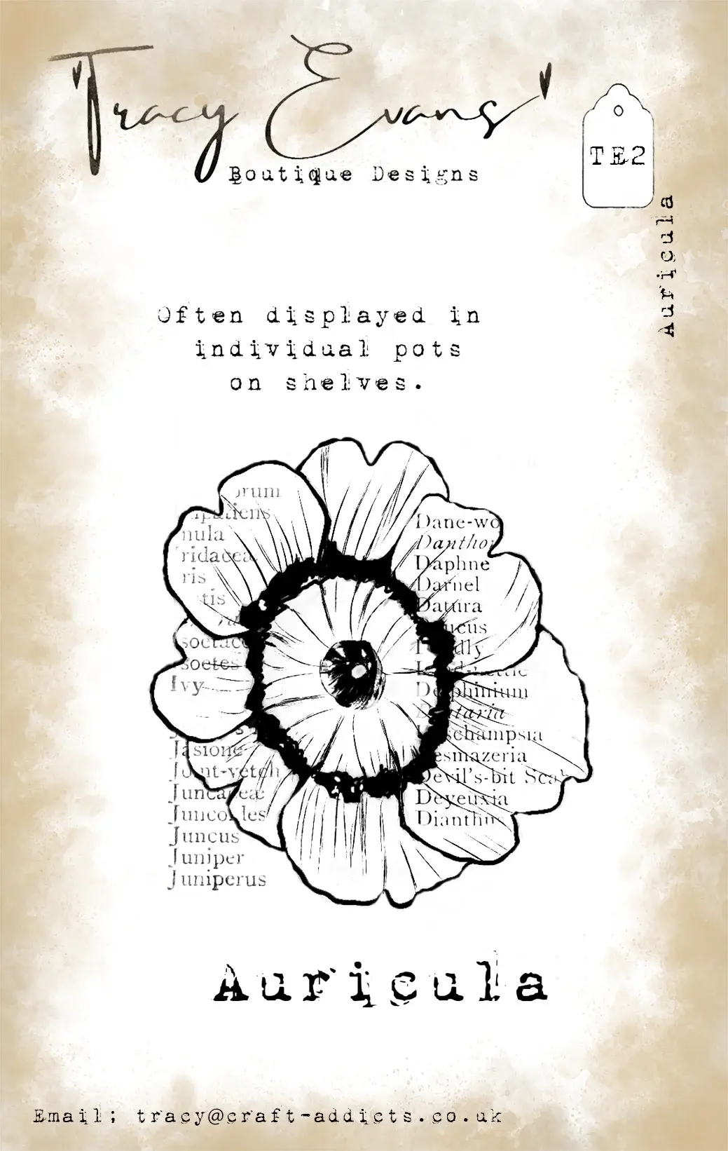 TRACY EVANS TRACY EVANS BOUTIQUE DESIGNS TE2 AURICULA A7 CLEAR STAMP SET
